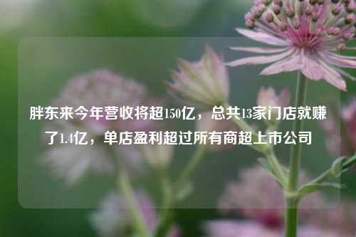 胖东来今年营收将超150亿，总共13家门店就赚了1.4亿，单店盈利超过所有商超上市公司