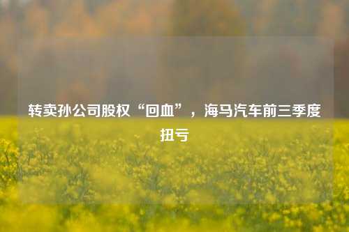 转卖孙公司股权“回血”，海马汽车前三季度扭亏