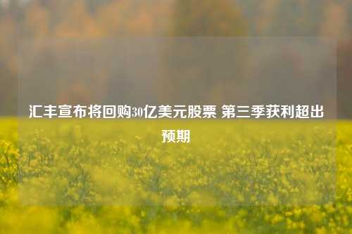 汇丰宣布将回购30亿美元股票 第三季获利超出预期