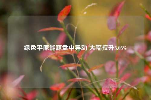 绿色平原能源盘中异动 大幅拉升5.05%