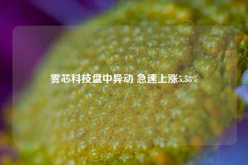 雾芯科技盘中异动 急速上涨5.58%