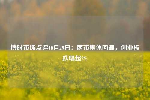 博时市场点评10月29日：两市集体回调，创业板跌幅超2%