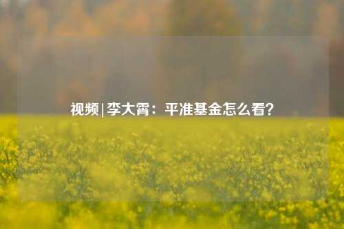 视频|李大霄：平准基金怎么看？