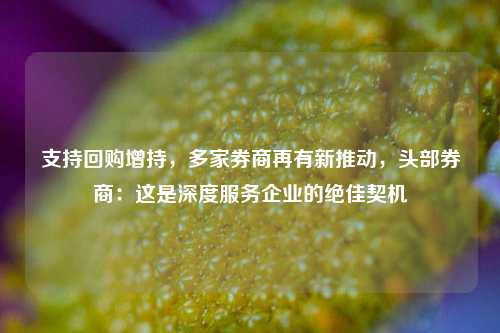 支持回购增持，多家券商再有新推动，头部券商：这是深度服务企业的绝佳契机