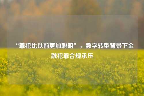 “罪犯比以前更加聪明”，数字转型背景下金融犯罪合规承压