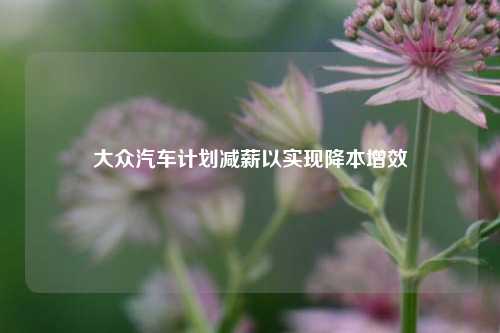 大众汽车计划减薪以实现降本增效