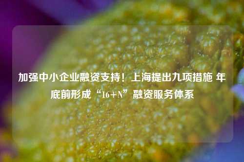 加强中小企业融资支持！上海提出九项措施 年底前形成“16+N”融资服务体系