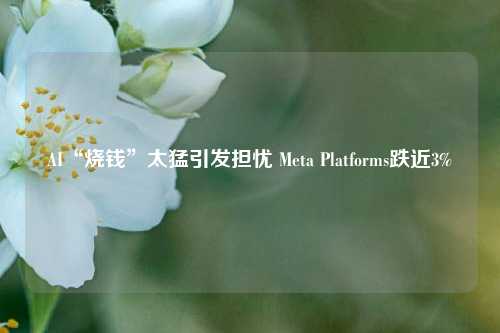 AI“烧钱”太猛引发担忧 Meta Platforms跌近3%