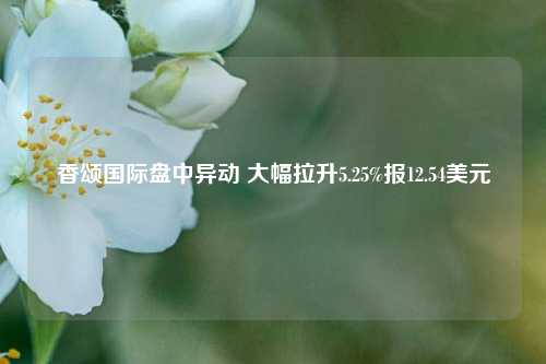 香颂国际盘中异动 大幅拉升5.25%报12.54美元