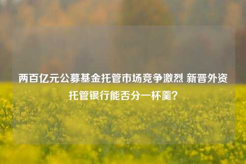 两百亿元公募基金托管市场竞争激烈 新晋外资托管银行能否分一杯羹？