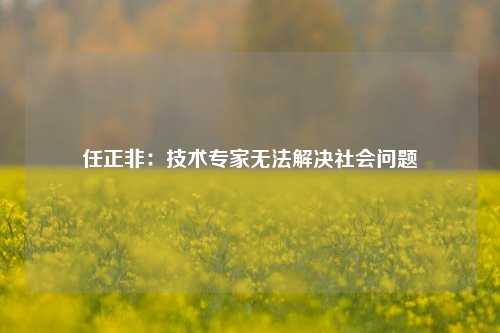 任正非：技术专家无法解决社会问题