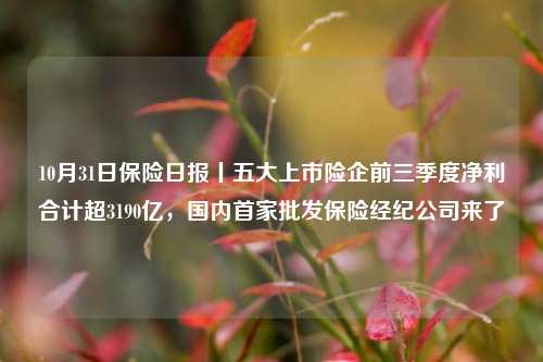 10月31日保险日报丨五大上市险企前三季度净利合计超3190亿，国内首家批发保险经纪公司来了