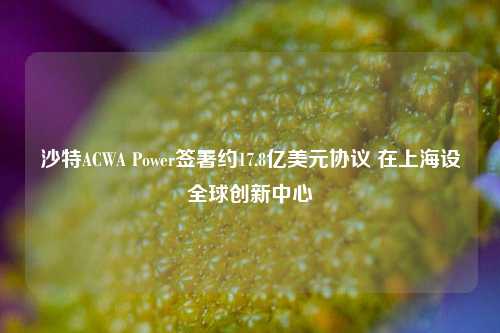 沙特ACWA Power签署约17.8亿美元协议 在上海设全球创新中心