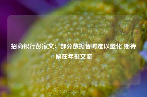 招商银行彭家文：部分数据暂时难以量化 期待留在年报交流