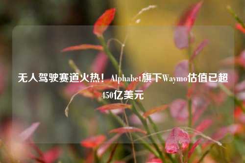 无人驾驶赛道火热！Alphabet旗下Waymo估值已超450亿美元