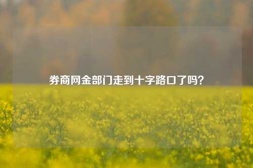 券商网金部门走到十字路口了吗？