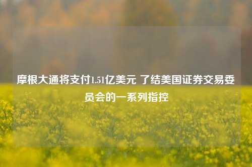 摩根大通将支付1.51亿美元 了结美国证券交易委员会的一系列指控