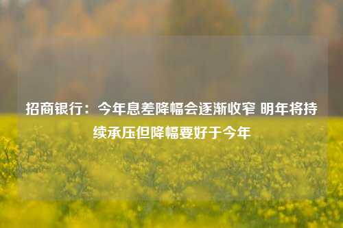 招商银行：今年息差降幅会逐渐收窄 明年将持续承压但降幅要好于今年