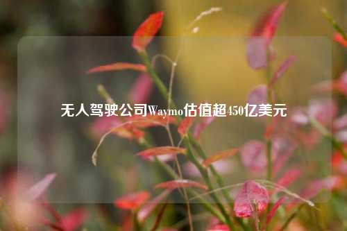 无人驾驶公司Waymo估值超450亿美元