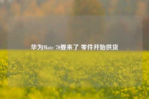 华为Mate 70要来了 零件开始供货