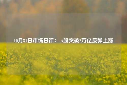 10月31日市场日评： A股突破2万亿反弹上涨