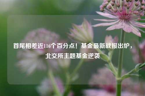 首尾相差近116个百分点！基金最新战报出炉，北交所主题基金逆袭