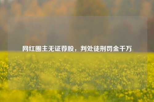 网红圈主无证荐股，判处徒刑罚金千万