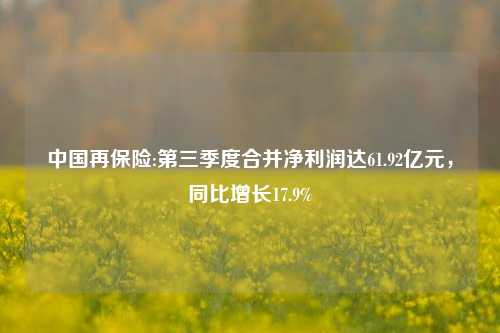 中国再保险:第三季度合并净利润达61.92亿元，同比增长17.9%