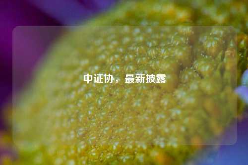 中证协，最新披露