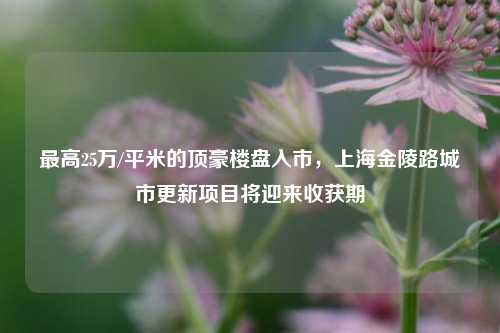 最高25万/平米的顶豪楼盘入市，上海金陵路城市更新项目将迎来收获期