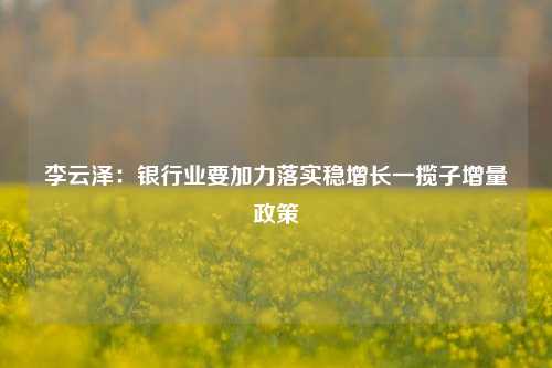 李云泽：银行业要加力落实稳增长一揽子增量政策