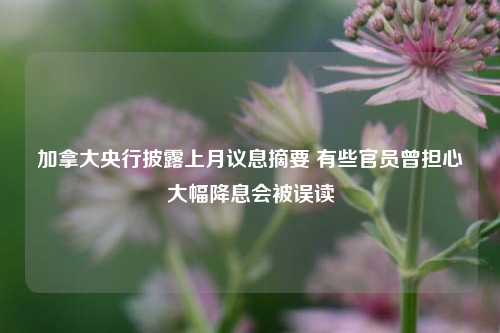 加拿大央行披露上月议息摘要 有些官员曾担心大幅降息会被误读