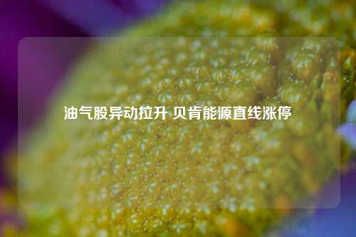 油气股异动拉升 贝肯能源直线涨停