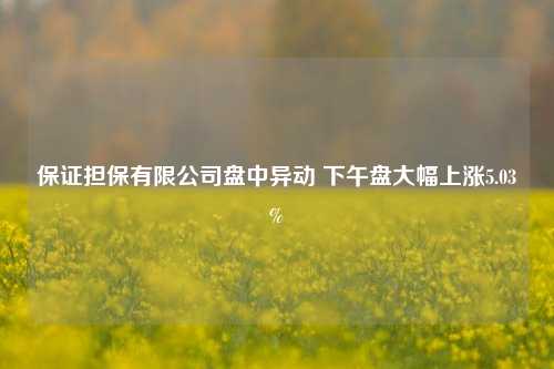 保证担保有限公司盘中异动 下午盘大幅上涨5.03%