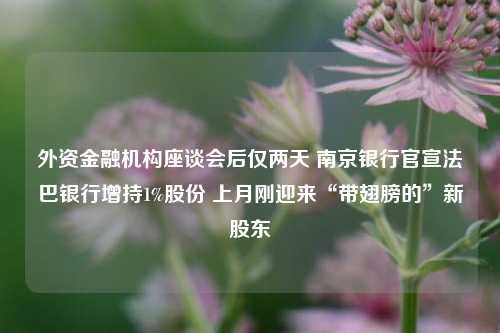 外资金融机构座谈会后仅两天 南京银行官宣法巴银行增持1%股份 上月刚迎来“带翅膀的”新股东