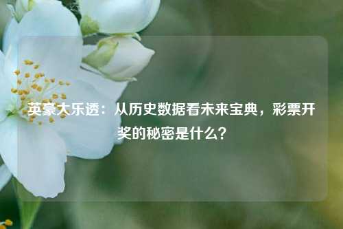 英豪大乐透：从历史数据看未来宝典，彩票开奖的秘密是什么？