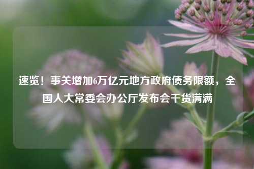 速览！事关增加6万亿元地方政府债务限额，全国人大常委会办公厅发布会干货满满