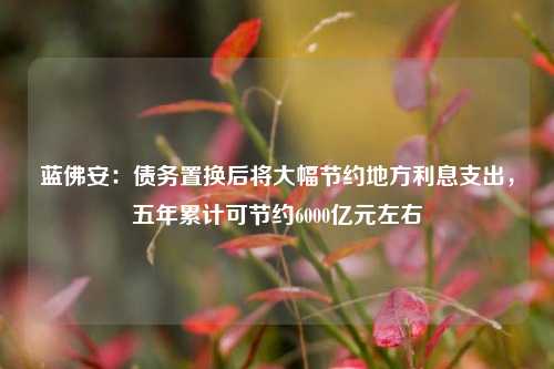 蓝佛安：债务置换后将大幅节约地方利息支出，五年累计可节约6000亿元左右