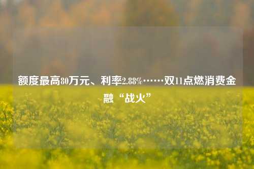 额度最高80万元、利率2.88%……双11点燃消费金融“战火”