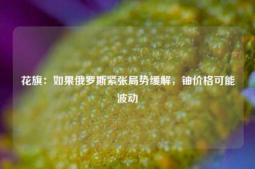 花旗：如果俄罗斯紧张局势缓解，铀价格可能波动