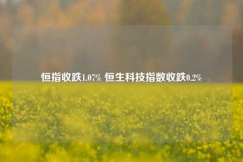 恒指收跌1.07% 恒生科技指数收跌0.2%