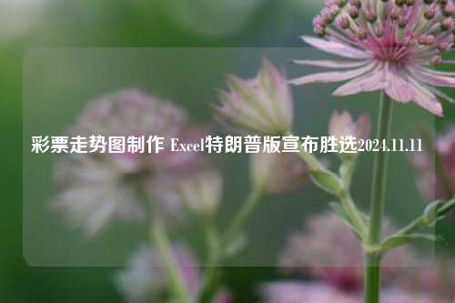 彩票走势图制作 Excel特朗普版宣布胜选2024.11.11