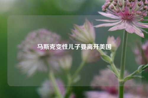 马斯克变性儿子要离开美国