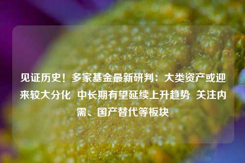 见证历史！多家基金最新研判：大类资产或迎来较大分化  中长期有望延续上升趋势  关注内需、国产替代等板块