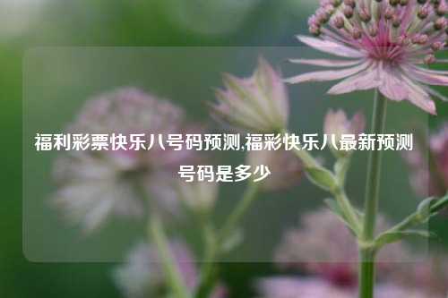 福利彩票快乐八号码预测,福彩快乐八最新预测号码是多少