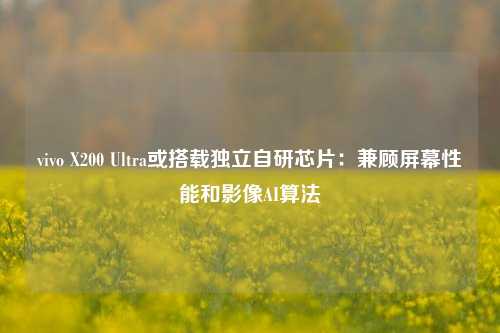 vivo X200 Ultra或搭载独立自研芯片：兼顾屏幕性能和影像AI算法