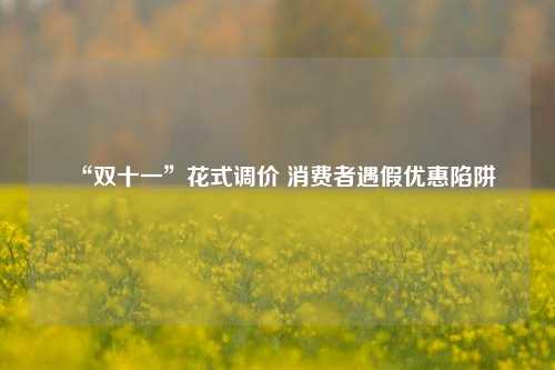 “双十一”花式调价 消费者遇假优惠陷阱