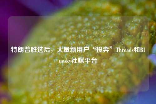 特朗普胜选后，大量新用户“投奔”Threads和Bluesky社媒平台