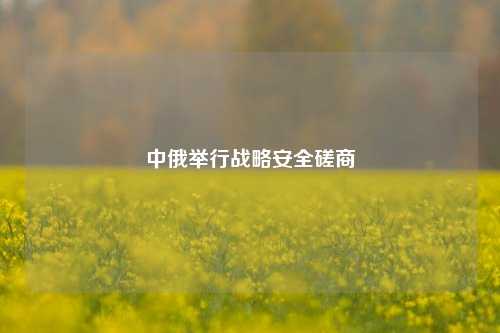 中俄举行战略安全磋商