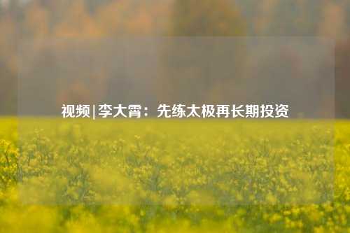 视频|李大霄：先练太极再长期投资